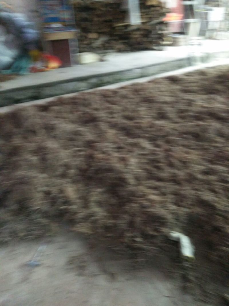 缬草干货