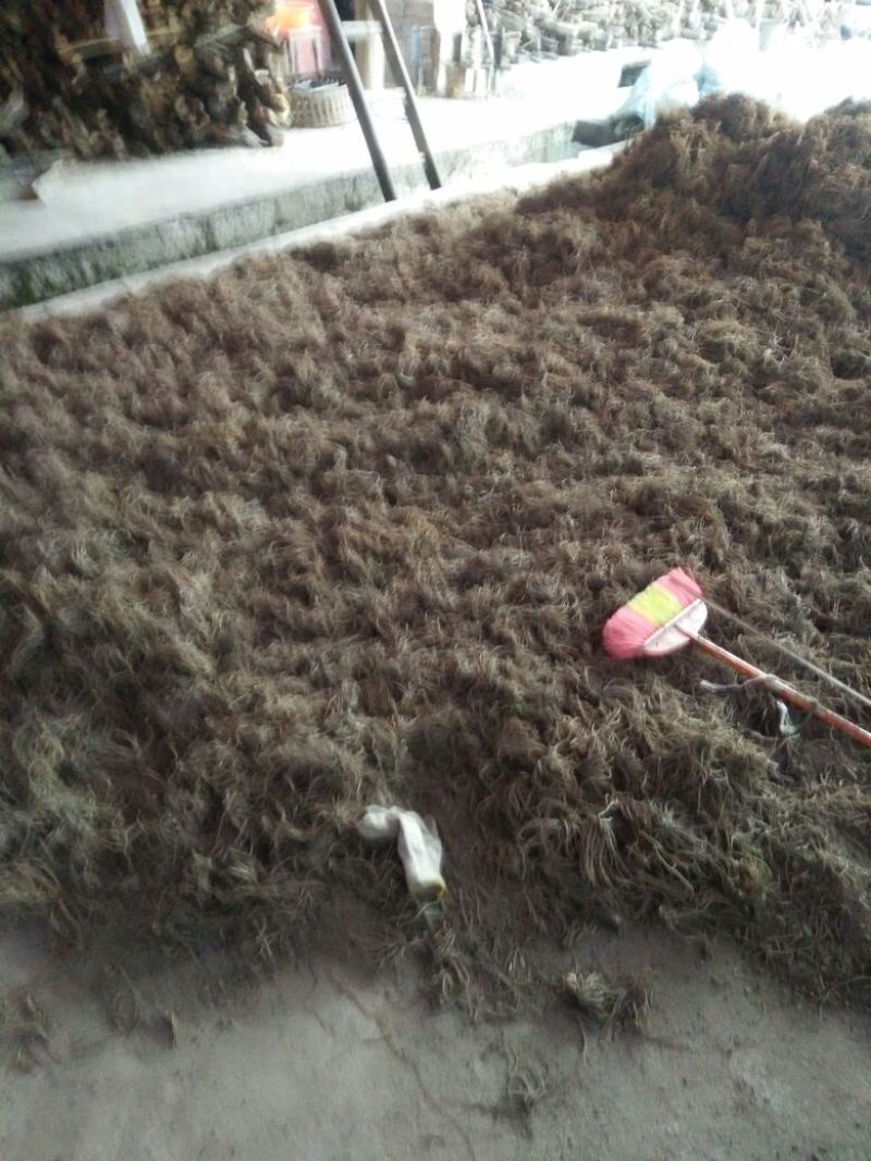 缬草干货