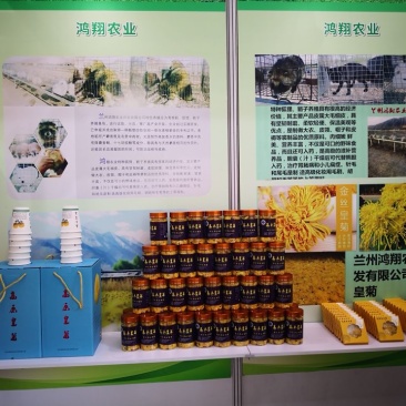 高原金丝菊茶礼盒，双11惊爆价111元，限一天。