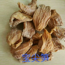 白宝尖