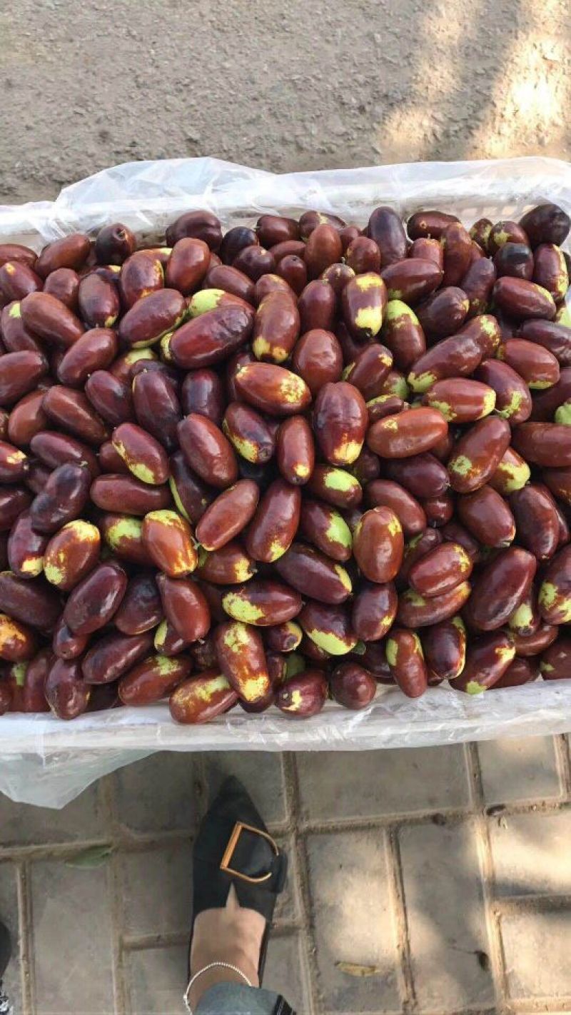 百果王枣