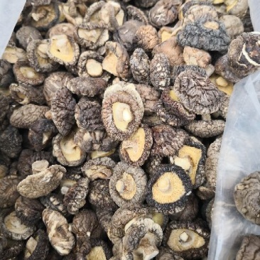 香菇干度好，产地直销，3斤就包邮，偏远地区除外