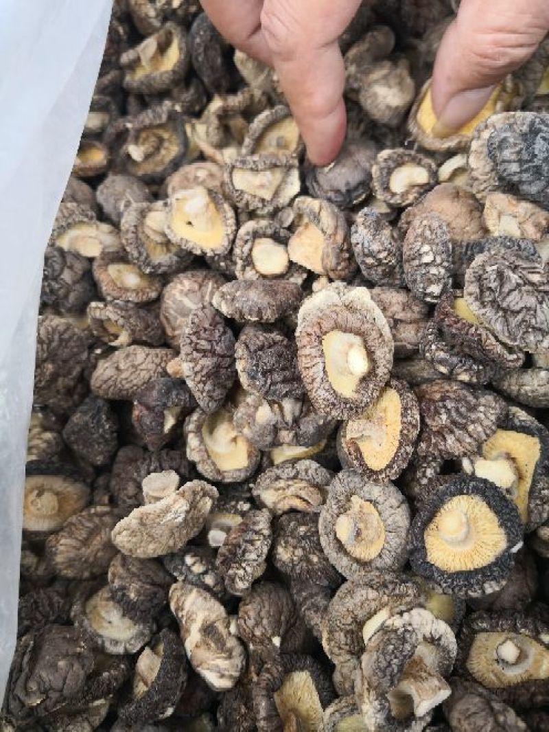香菇干度好，产地直销，3斤就包邮，偏远地区除外