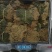 带根半枝莲50斤起批，运费物流包邮自提