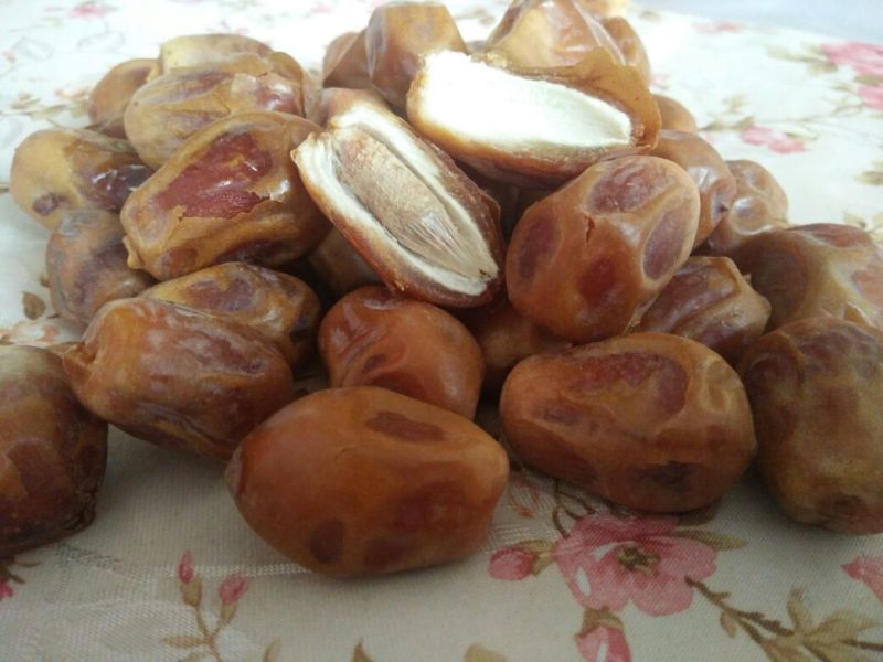 黄金椰枣