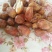 黄金椰枣
