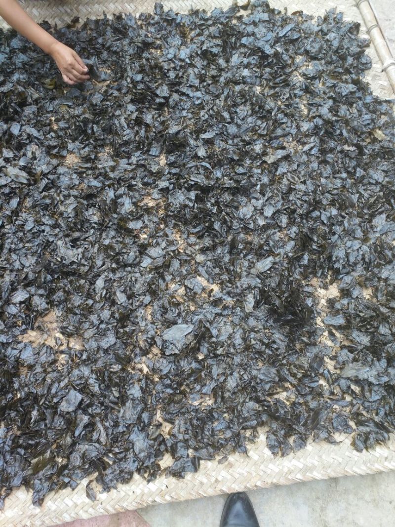 余庆发酵小苦丁茶