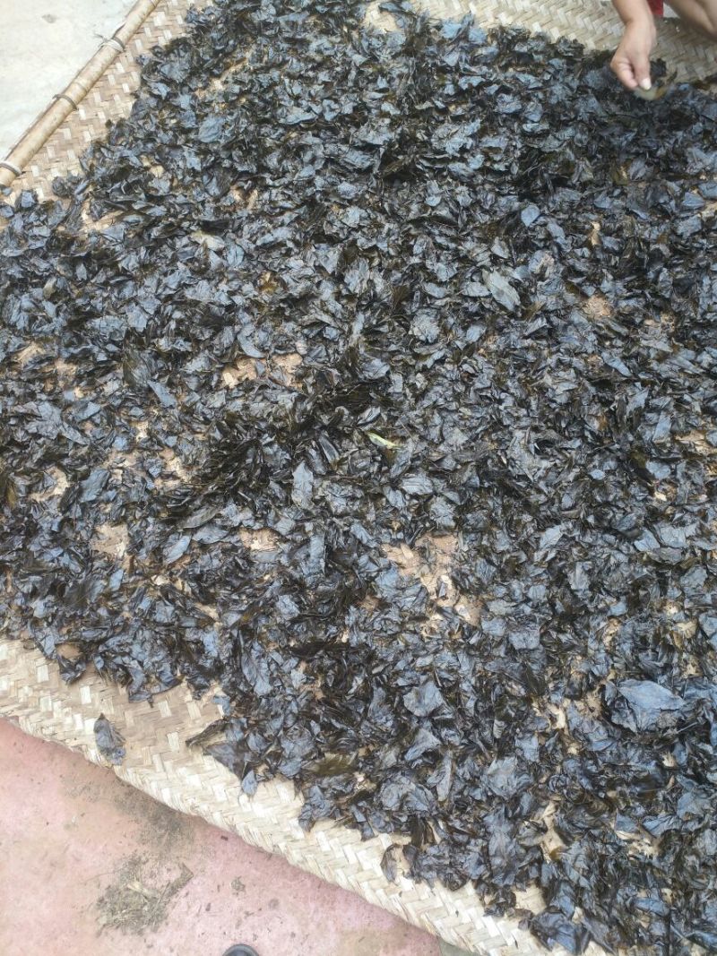 余庆发酵小苦丁茶