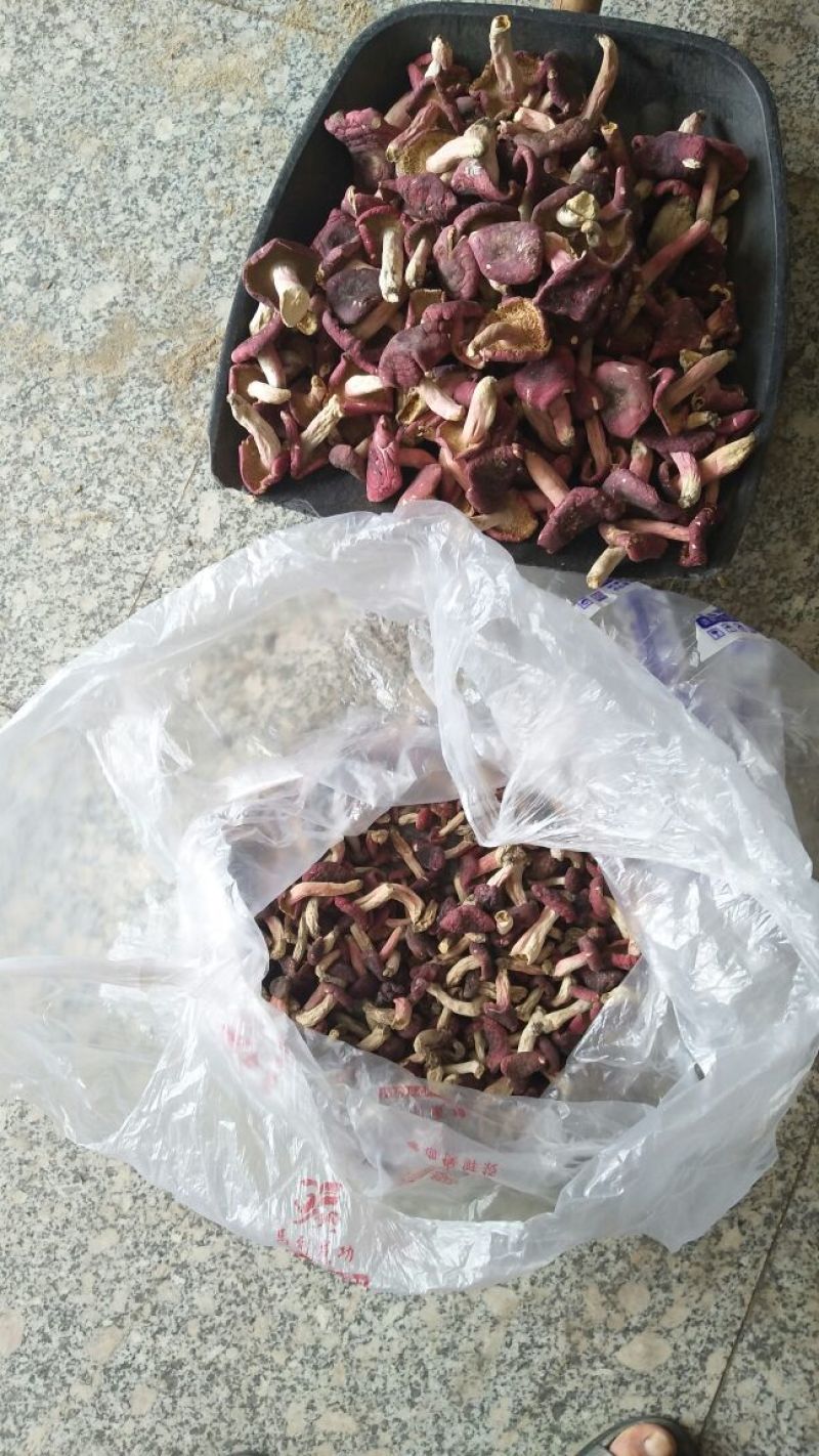 新野生红菇，灵芝