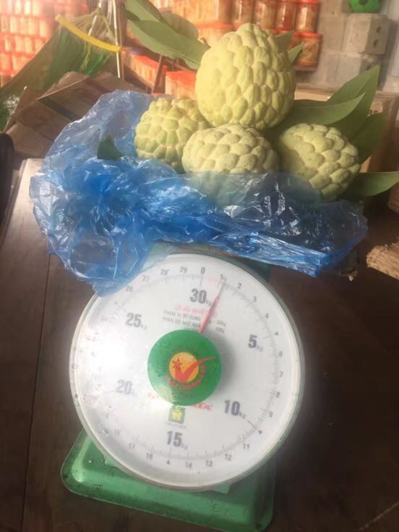 释迦150~200g一级
