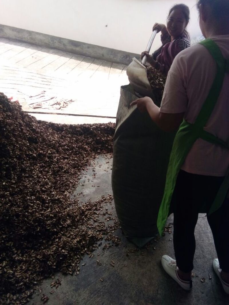 机器筛选分心木