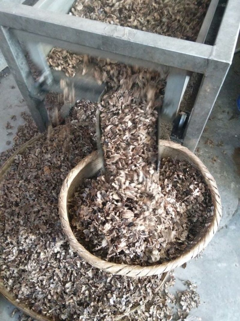 机器筛选分心木