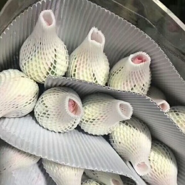 鲜花红玫瑰，卡罗拉10.6元一扎