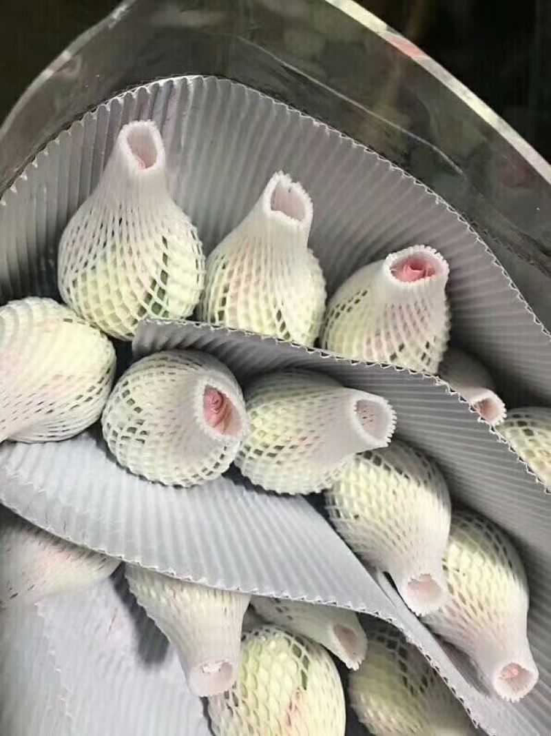 鲜花红玫瑰，卡罗拉10.6元一扎