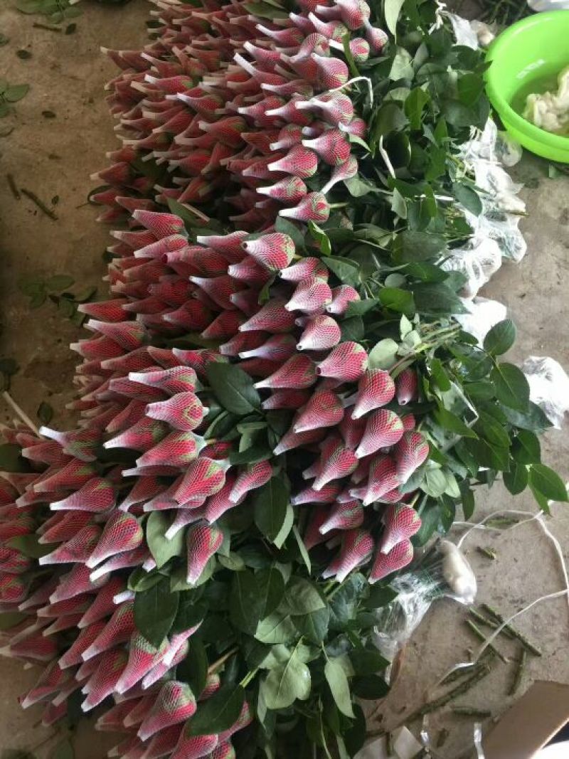 鲜花红玫瑰，卡罗拉10.6元一扎