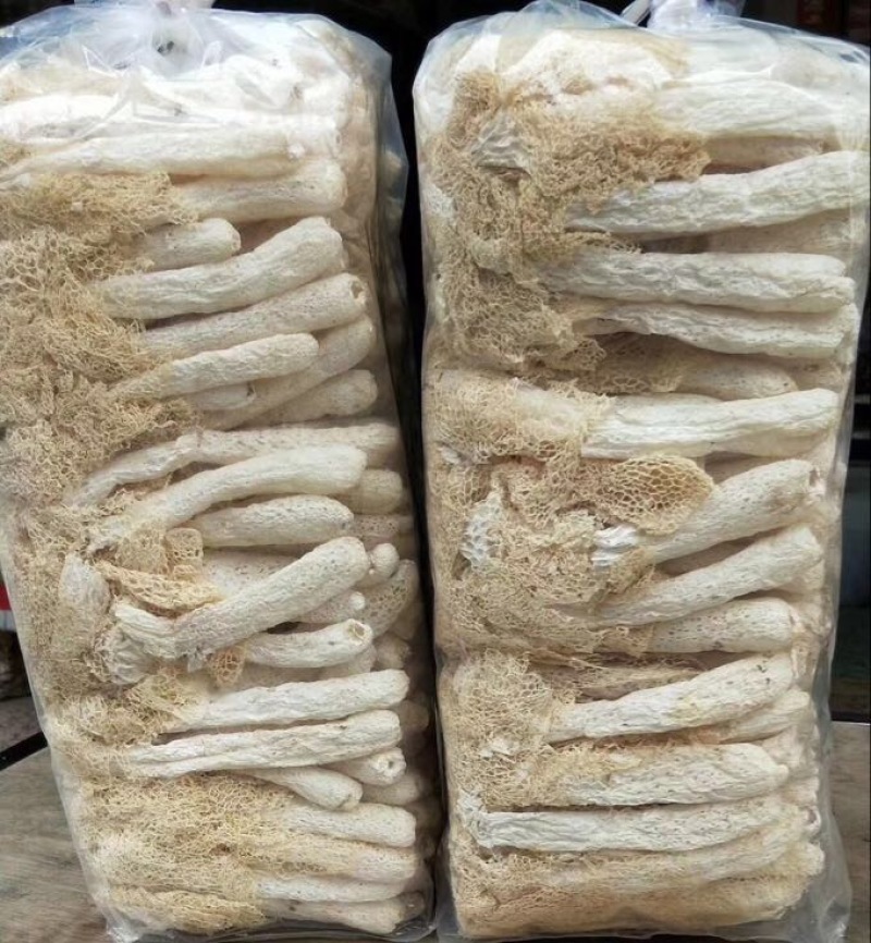 自家种植的长裙竹荪特级