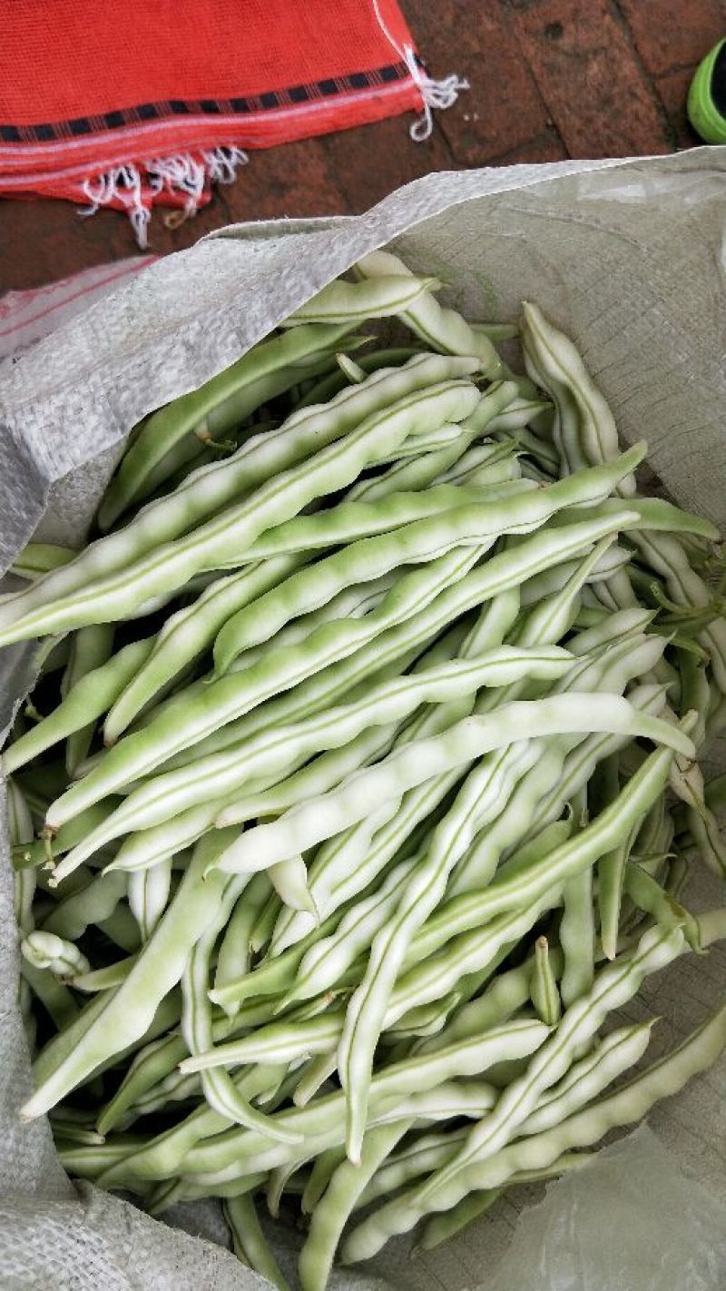 大白条小白条