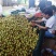 第二批，山地桃已卖完，，南方冬枣大量上市