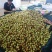 第二批，山地桃已卖完，，南方冬枣大量上市