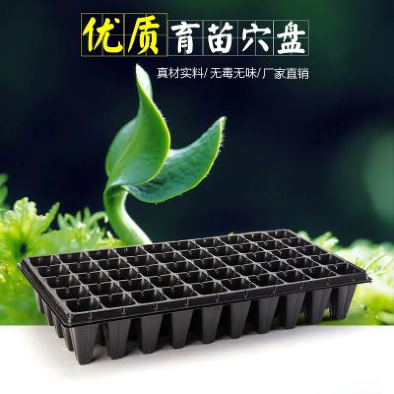 穴盘穴盘育苗盘批发50孔黑色营养钵加厚蔬菜种子塑料托盘种