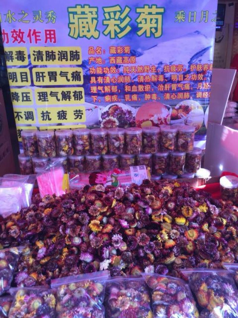 七彩菊