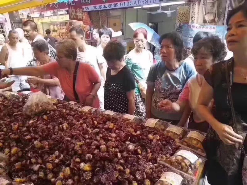 七彩菊