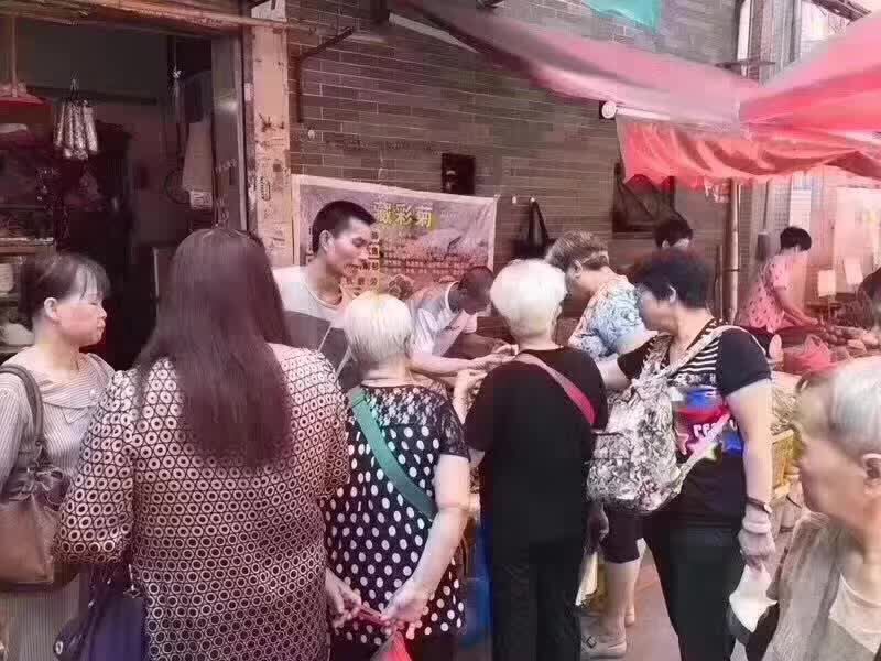 七彩菊