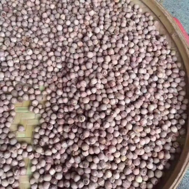 纯干红莲子