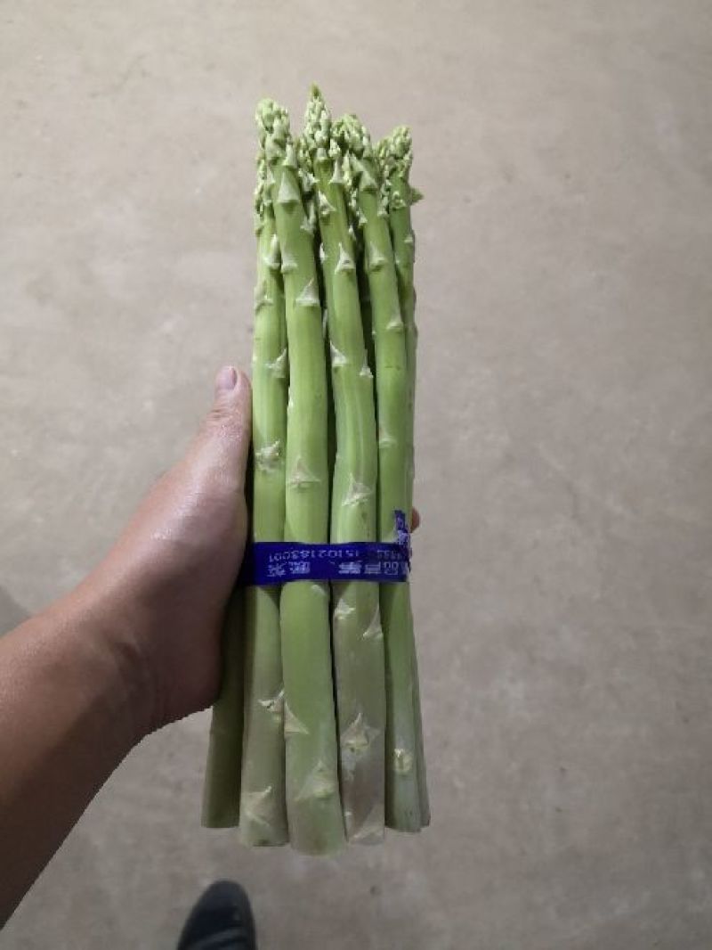 上海嘉友生态崇明有机芦笋