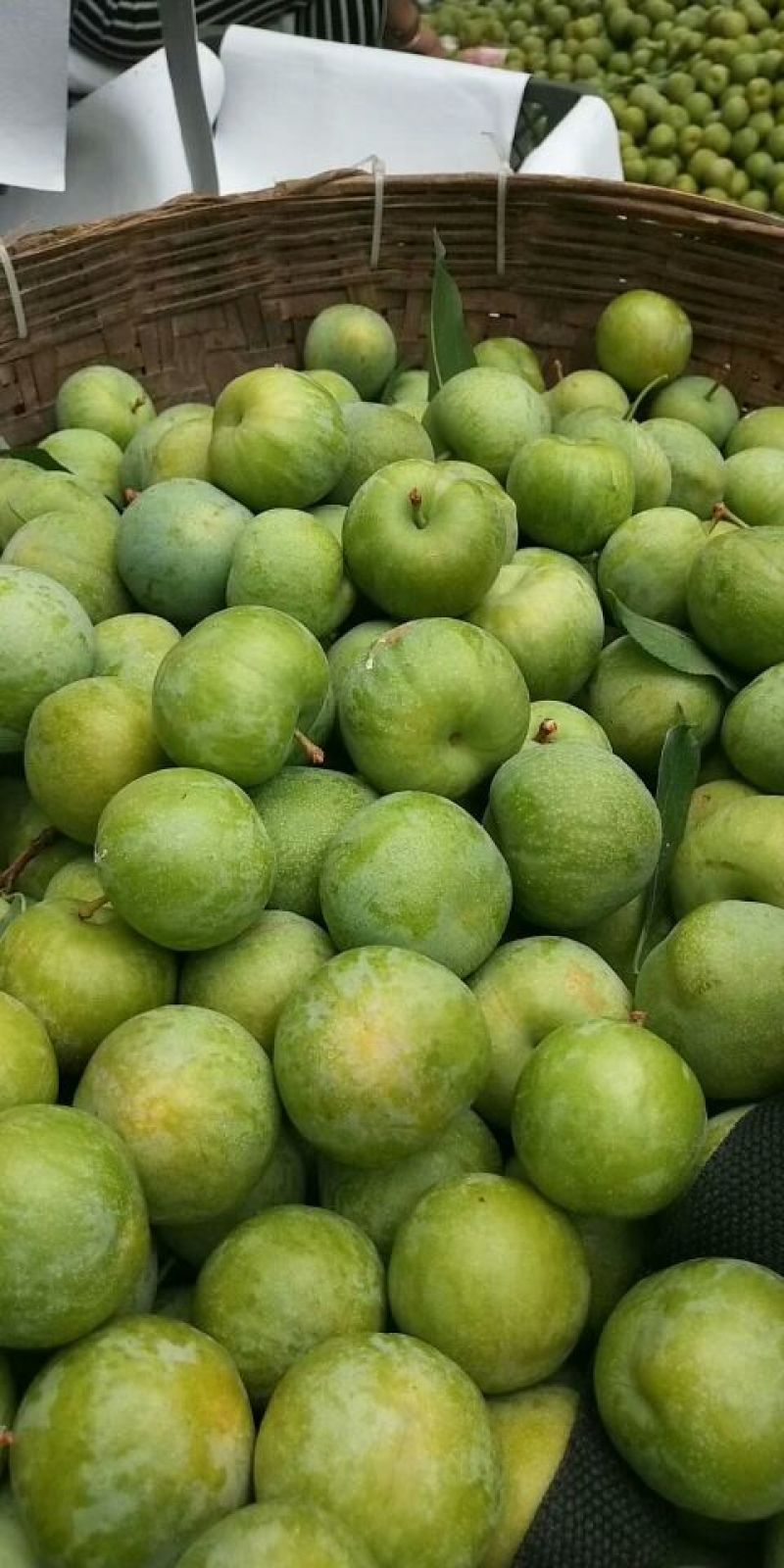 （优选）陕西大荔青翠李子（清脆李子）大量供应中