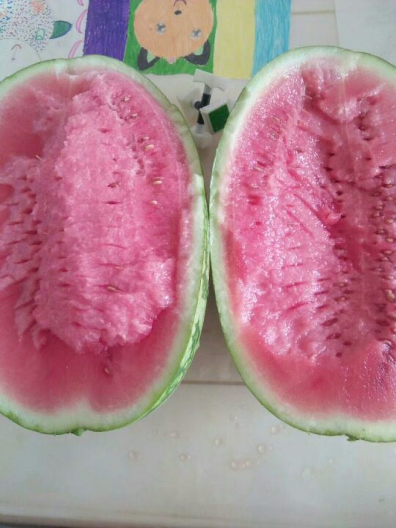 大量沙瓤西瓜上市