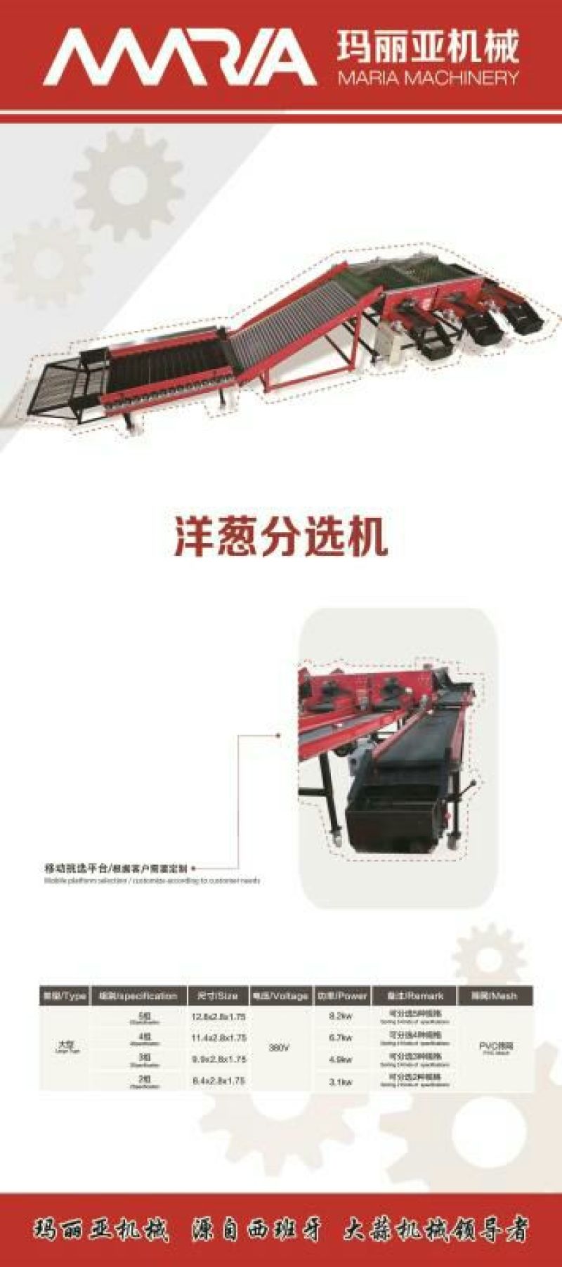 洋葱分选机