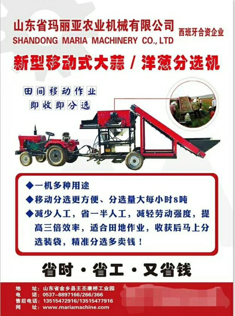 洋葱分选机