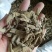 巴戟天不抽芯选货2斤包邮量大从优欢迎选购