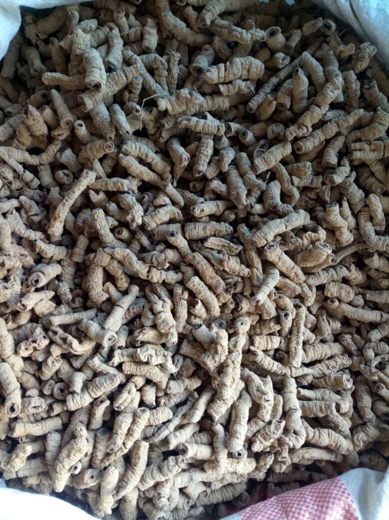 巴戟天巴戟肉抽芯选货干货2斤起包邮