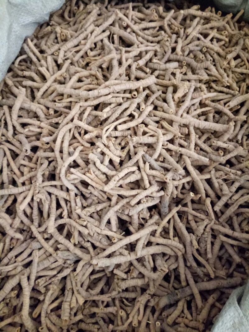 远志抽芯选货手选货干货2斤起包邮