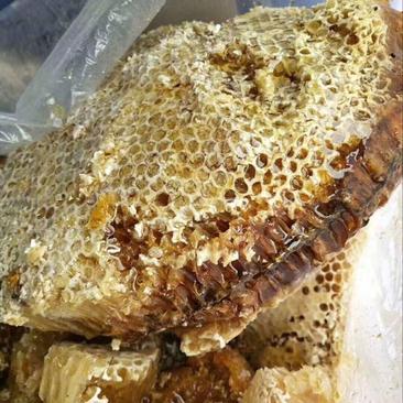 野蜂蜜1斤