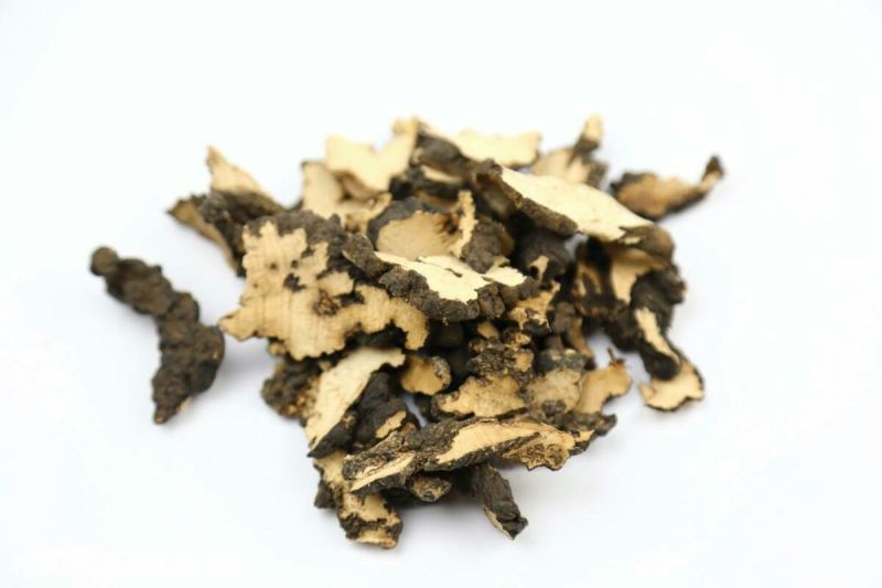 猪苓河南干货各种规格2斤起包邮