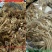 茶树菇——山里人家