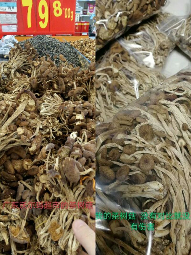 茶树菇——山里人家