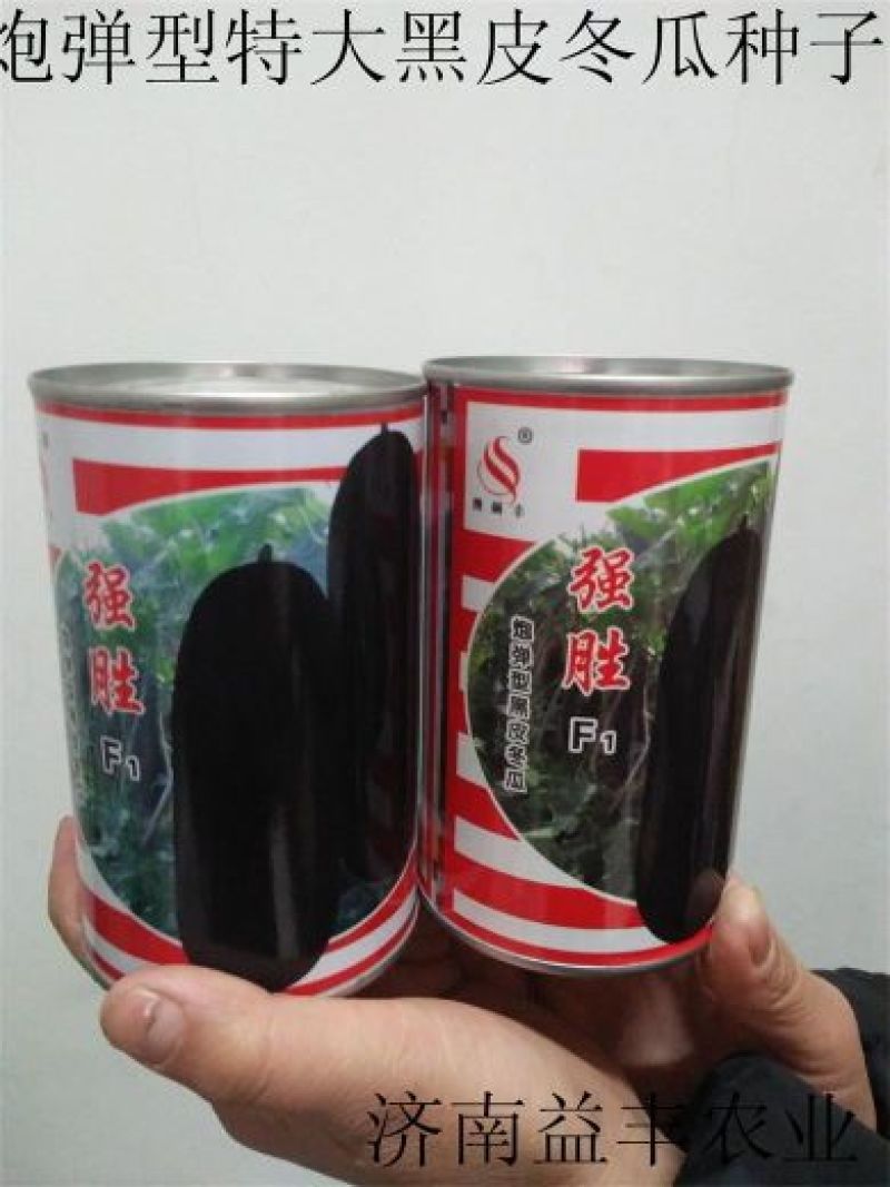 黑皮特大冬瓜种子-大冬瓜种子