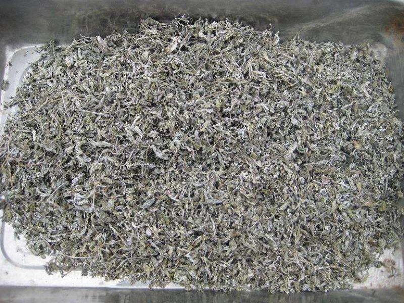 野生藤茶，
