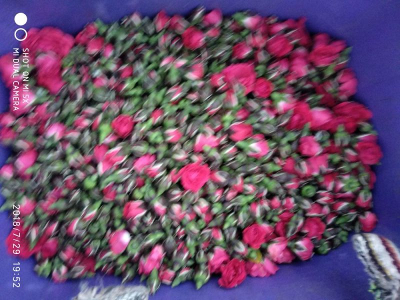 花果