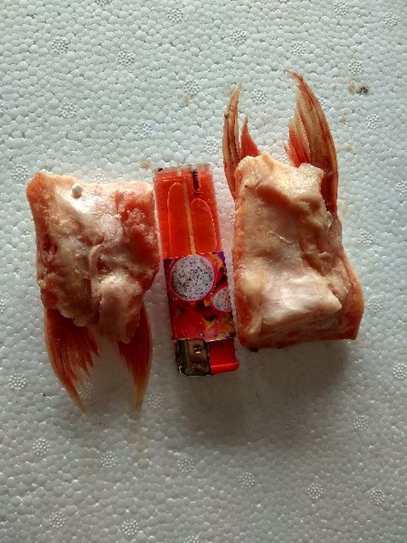 鱼鳍，鱼肚