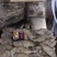 马面鱼