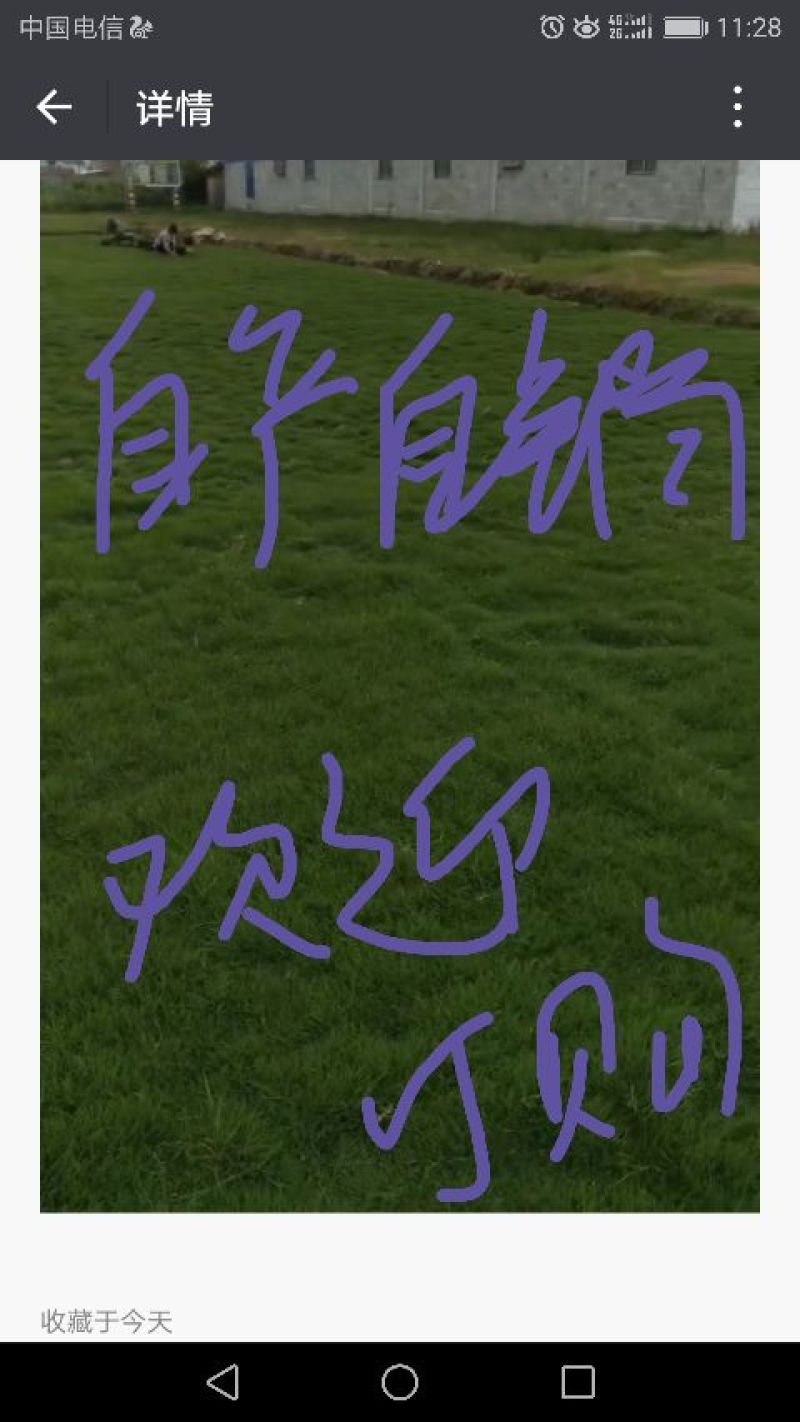 优质马尼拉