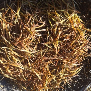 黄花菜散装一级