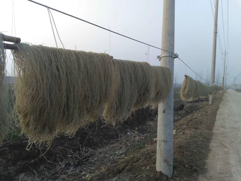 红薯粉丝