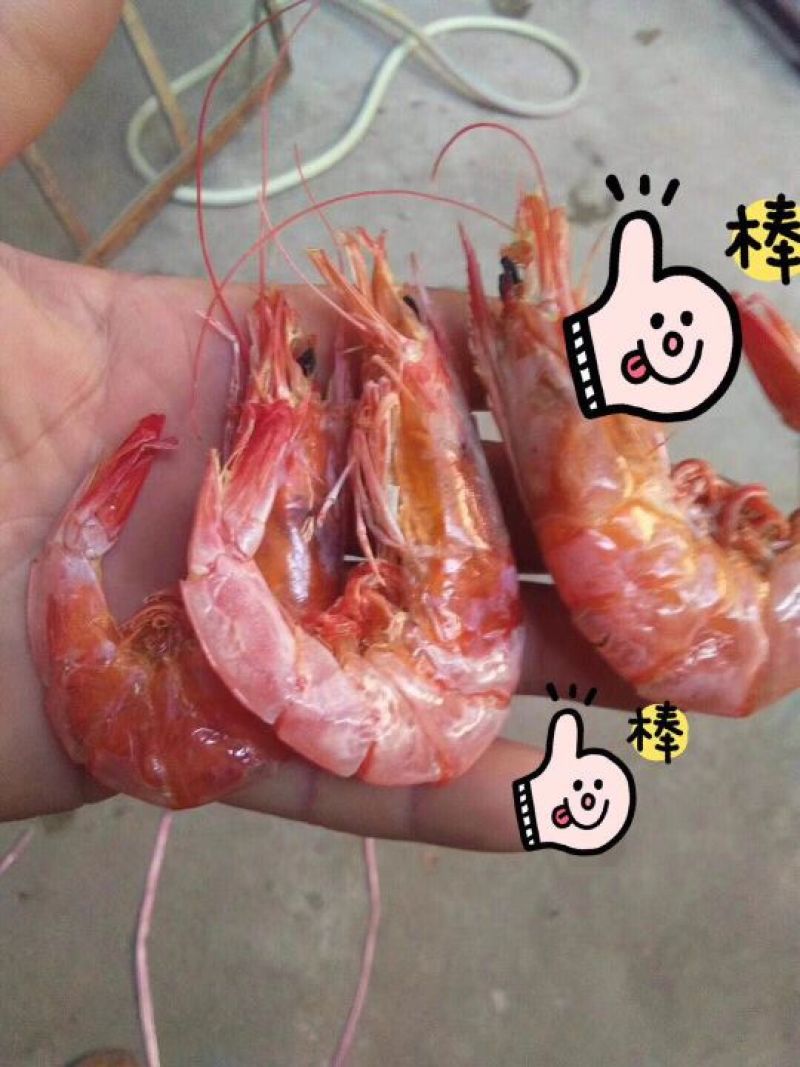 大王烤虾干