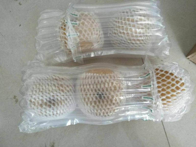 新鲜当季丰水梨秋月梨5斤香梨冰糖雪梨酥梨贡梨整箱水果批发